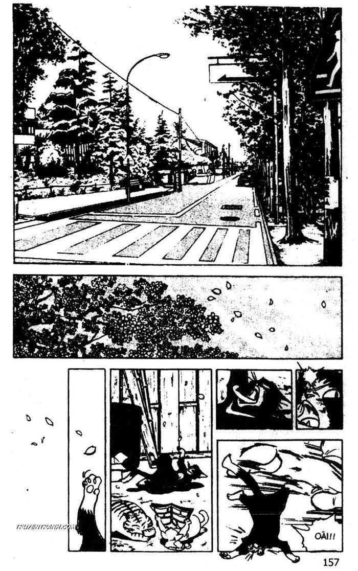 Cậu Bé Giỏi Võ Chapter 72 - Trang 13