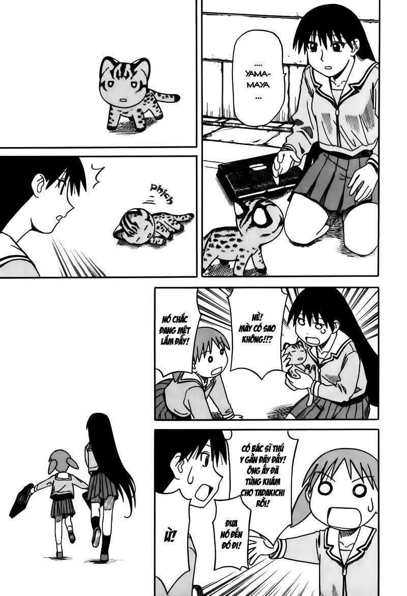 Azumanga Daioh Chapter 61 - Trang 19