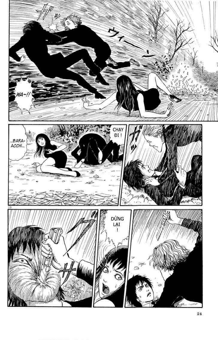 Black Paradox Chapter 1 - Trang 21