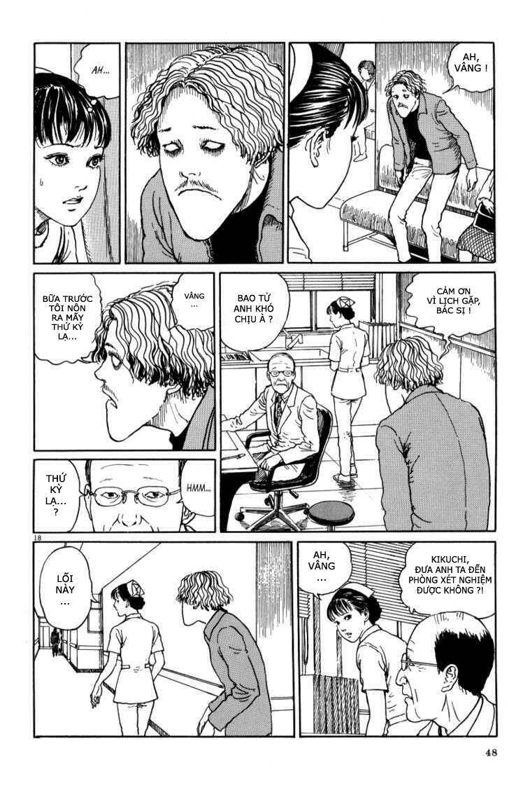 Black Paradox Chapter 2 - Trang 17