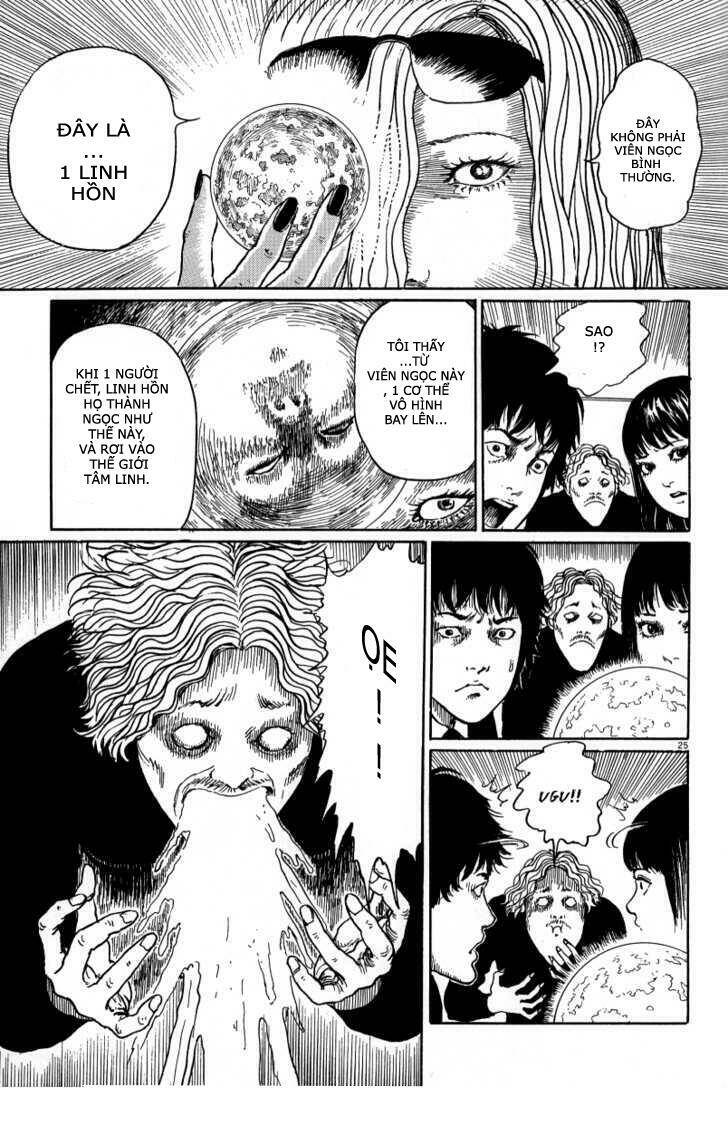 Black Paradox Chapter 2 - Trang 24