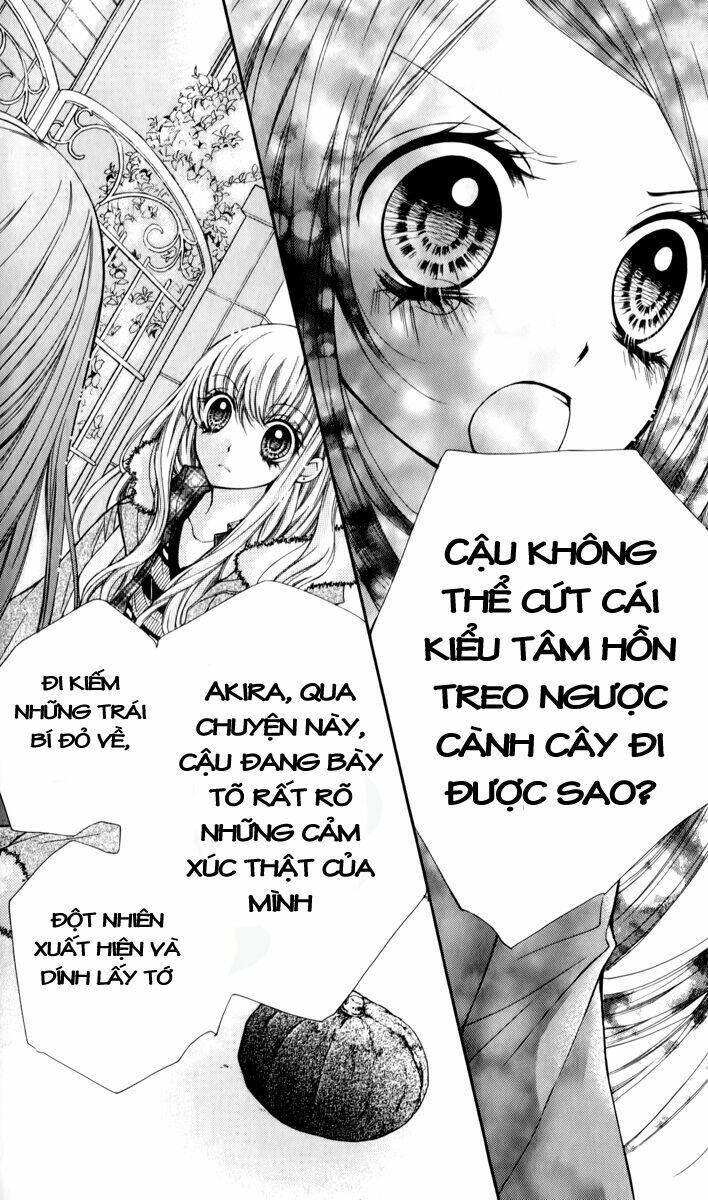 Shouri no Akuma Chapter 12 - Trang 24