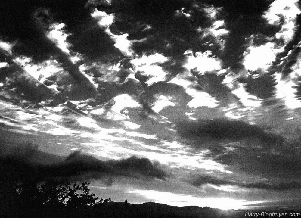 Elfen Lied Chapter 107 - Trang 26