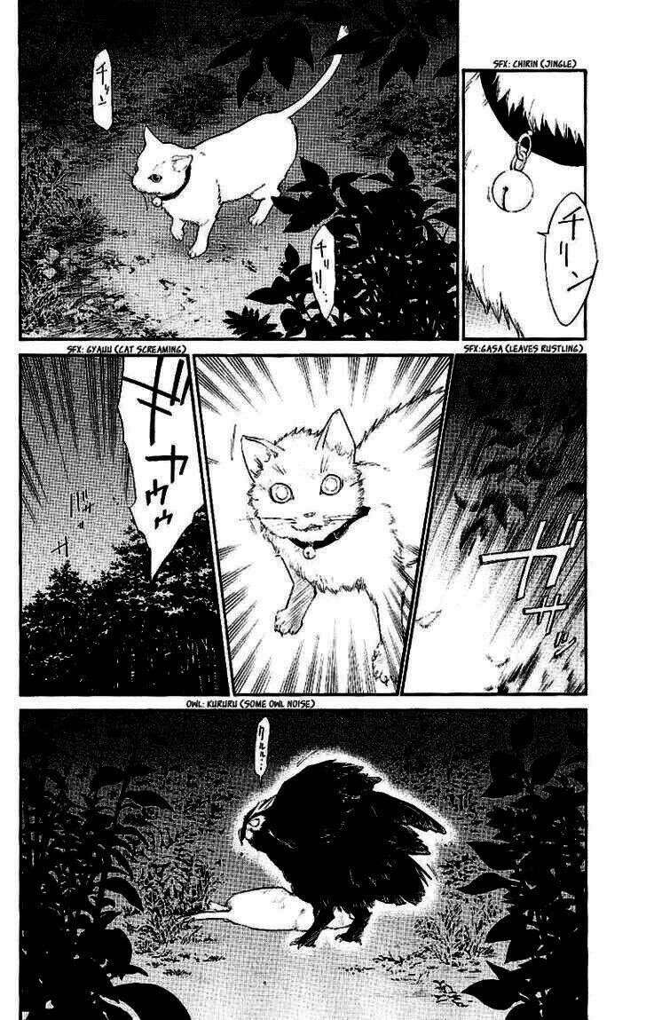 Alive - The Final Evolution Chapter 19 - Trang 5