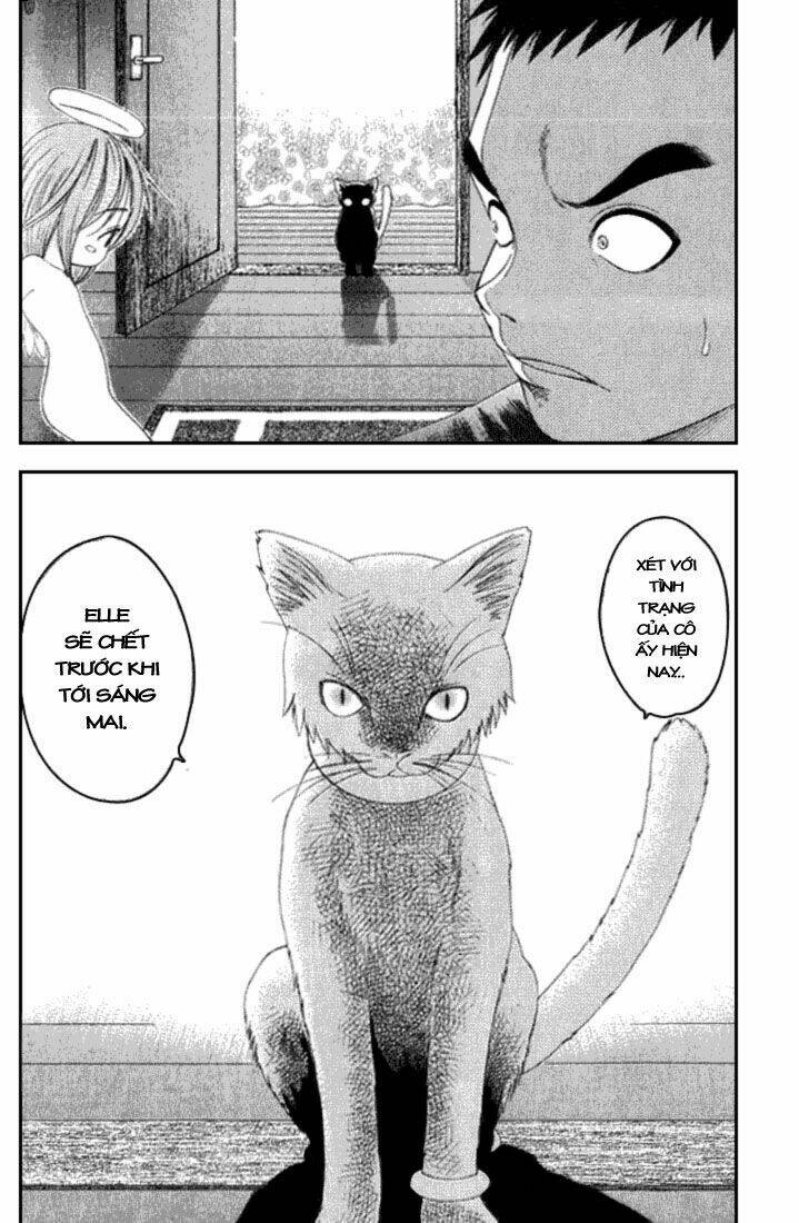 Happy World! Chapter 17 - Trang 22