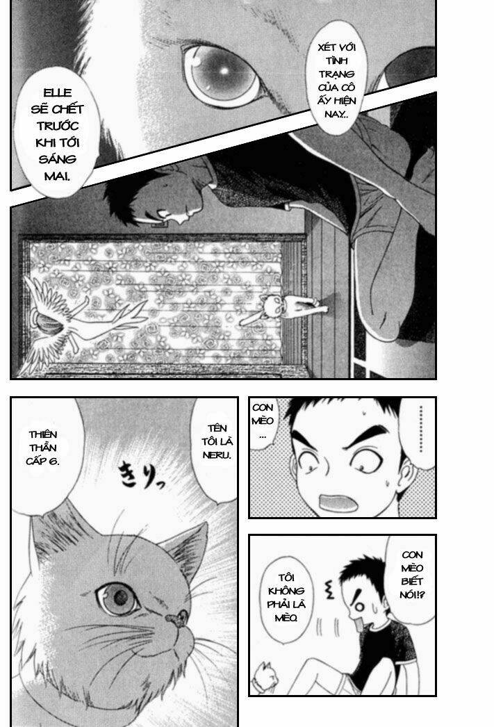 Happy World! Chapter 18 - Trang 1