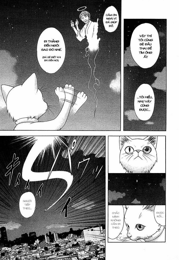 Happy World! Chapter 46 - Trang 5