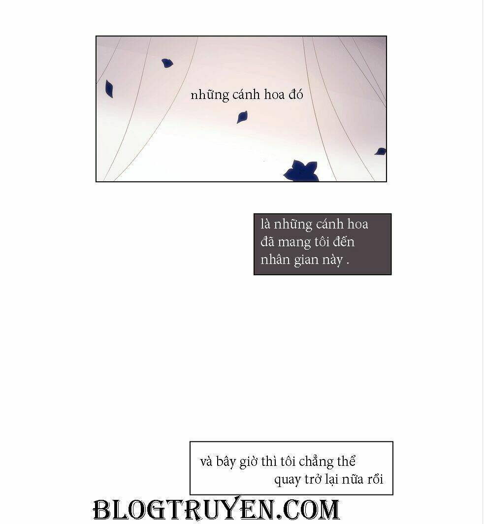 COIN Chapter 14 - Trang 8