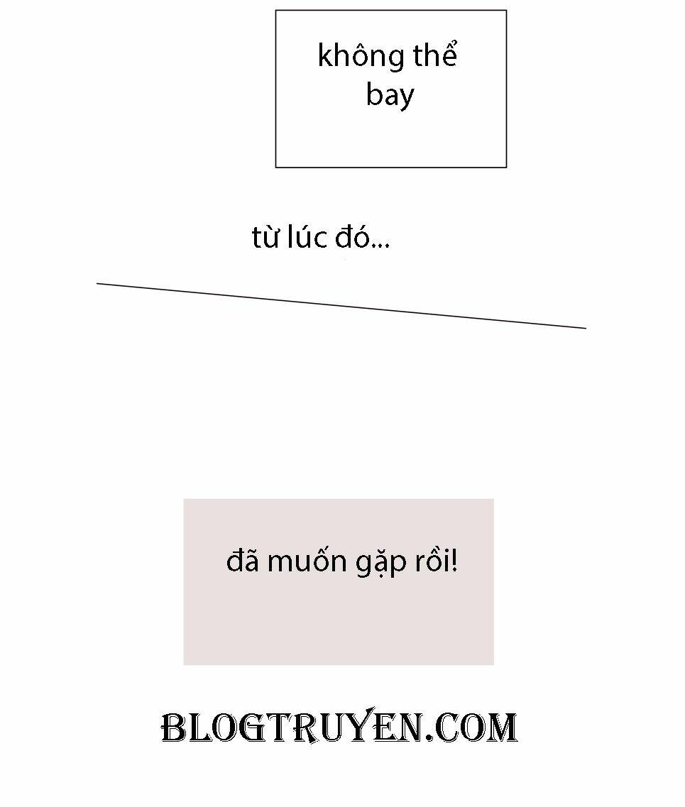 COIN Chapter 5 - Trang 14