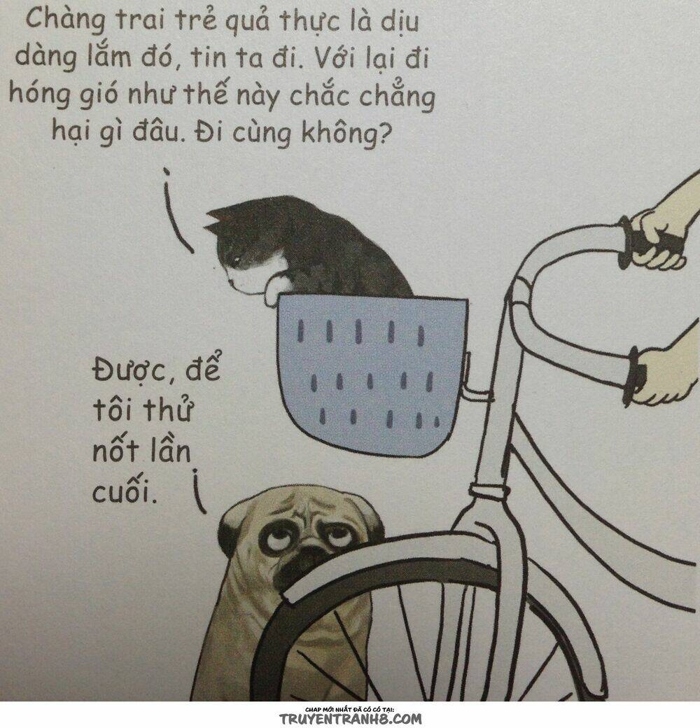 Cuộc Sống Thượng Lưu Của Hoàng Đế Mèo - Chapter 9 - Page 11