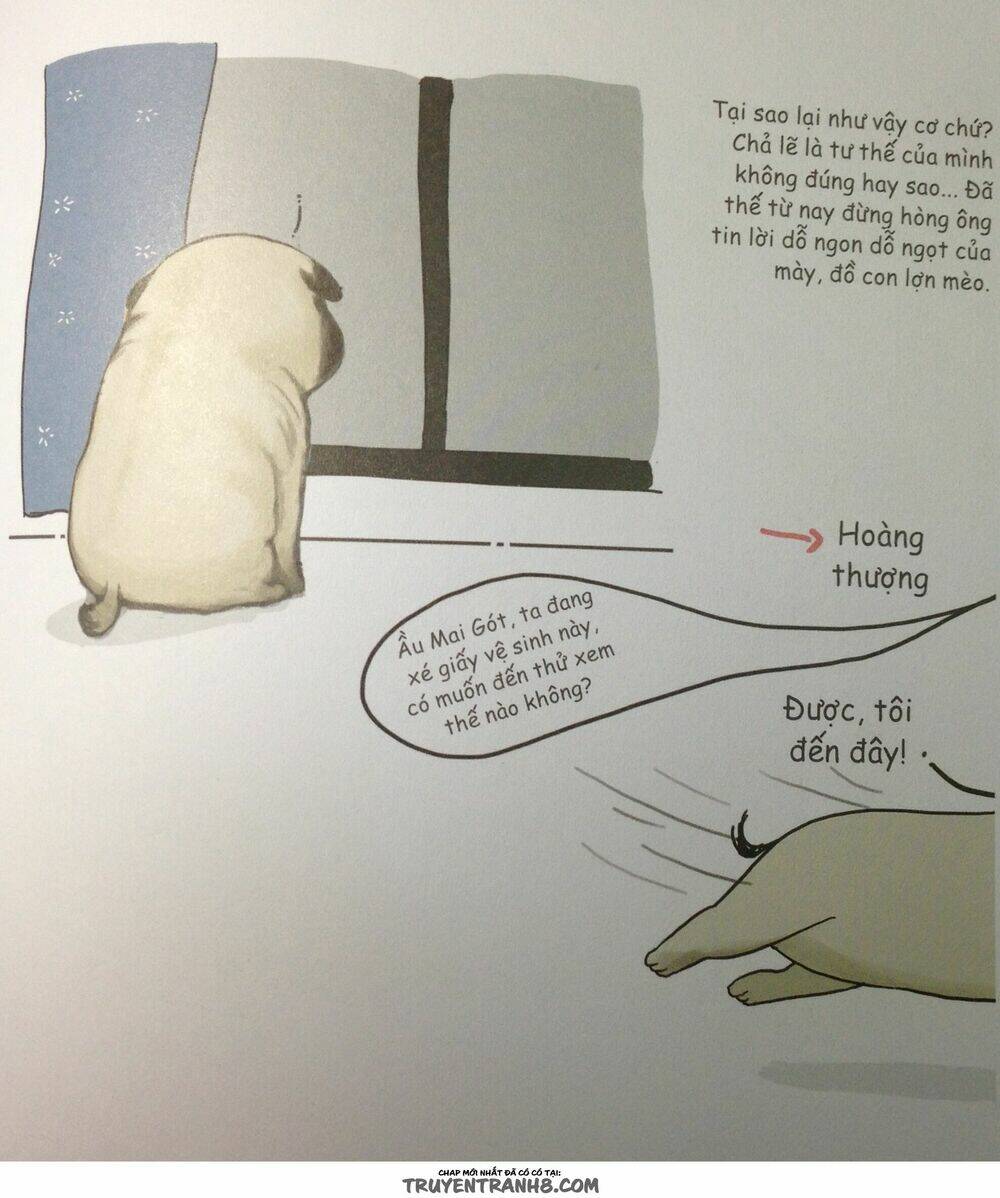 Cuộc Sống Thượng Lưu Của Hoàng Đế Mèo - Chapter 9 - Page 13