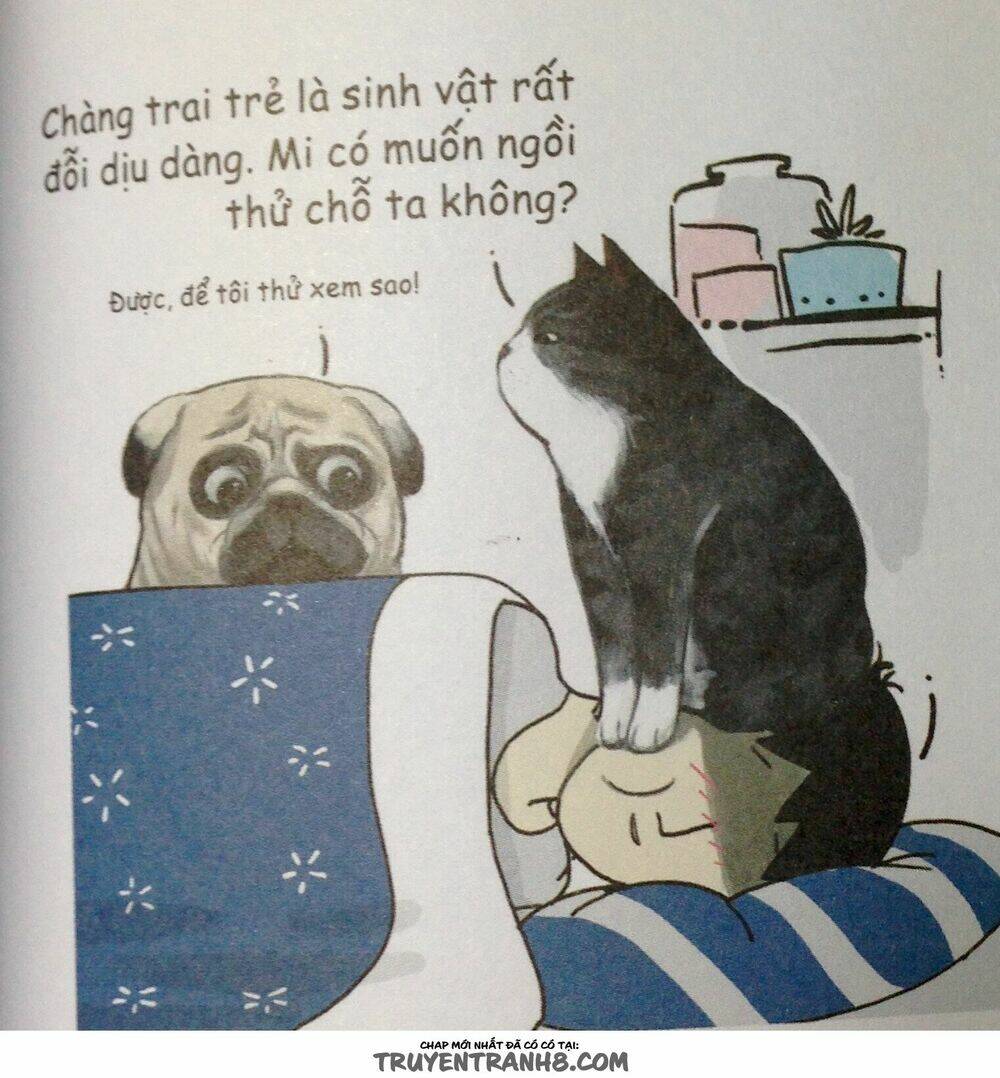 Cuộc Sống Thượng Lưu Của Hoàng Đế Mèo - Chapter 9 - Page 5