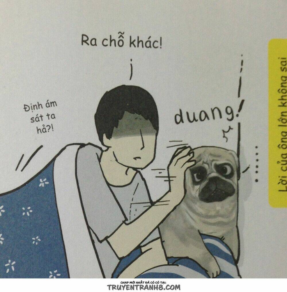 Cuộc Sống Thượng Lưu Của Hoàng Đế Mèo - Chapter 9 - Page 6