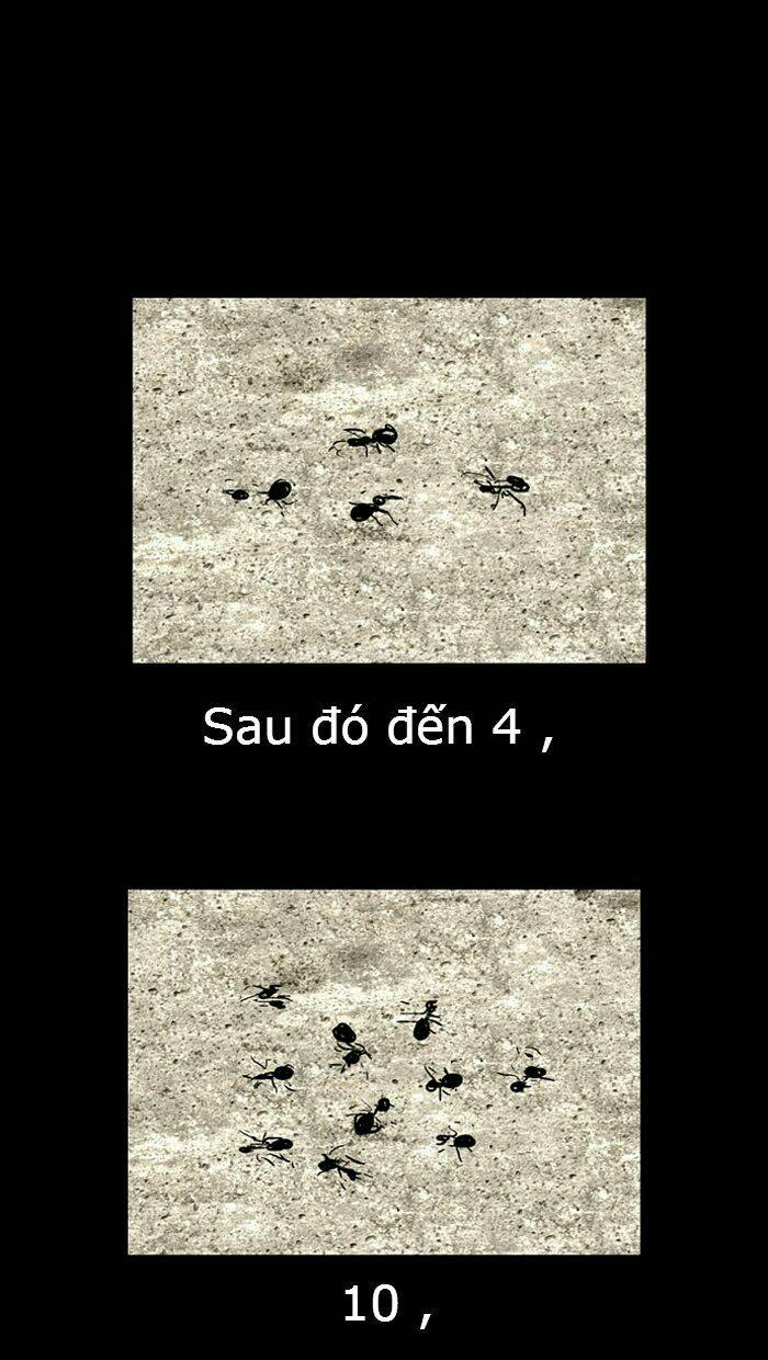 Đôi mắt từ trái tim - Chapter 18 - Page 29