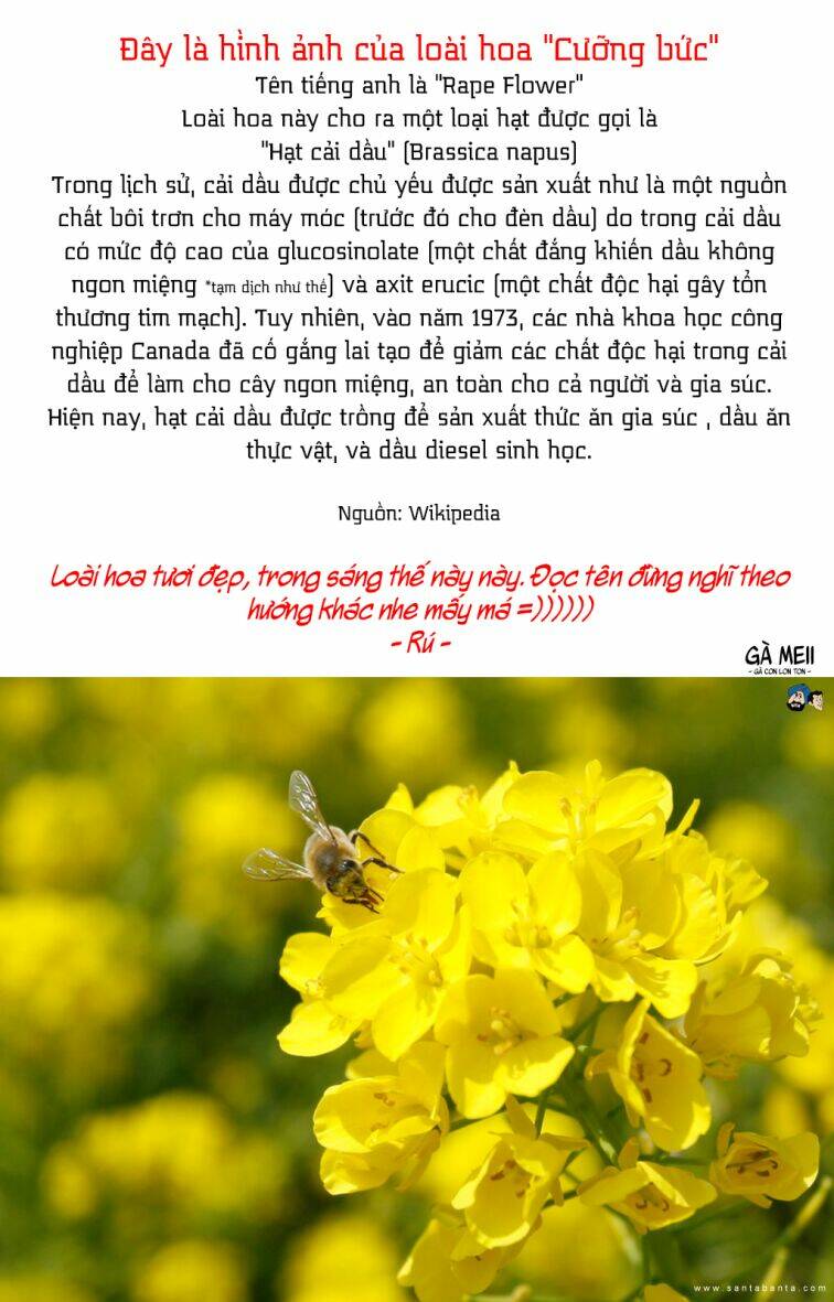 Shokubutsu Zukan - Chapter 3 - Page 4