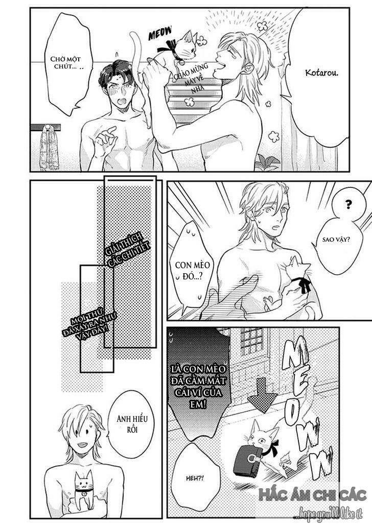 Dorobou Neko Ni Wa Nusumena - Chapter 3 - Page 19