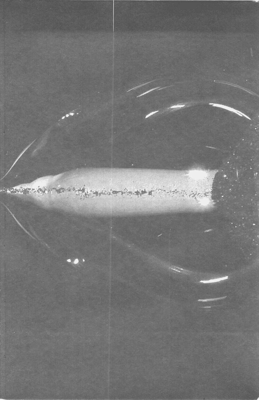 Kokukoku Chapter 6 - Trang 8