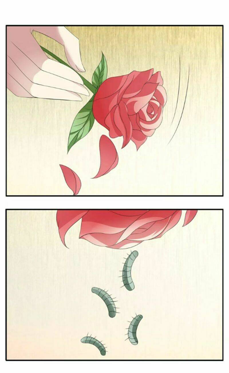 Tuấn Sủng Có Độc - Chapter 7 - Page 5