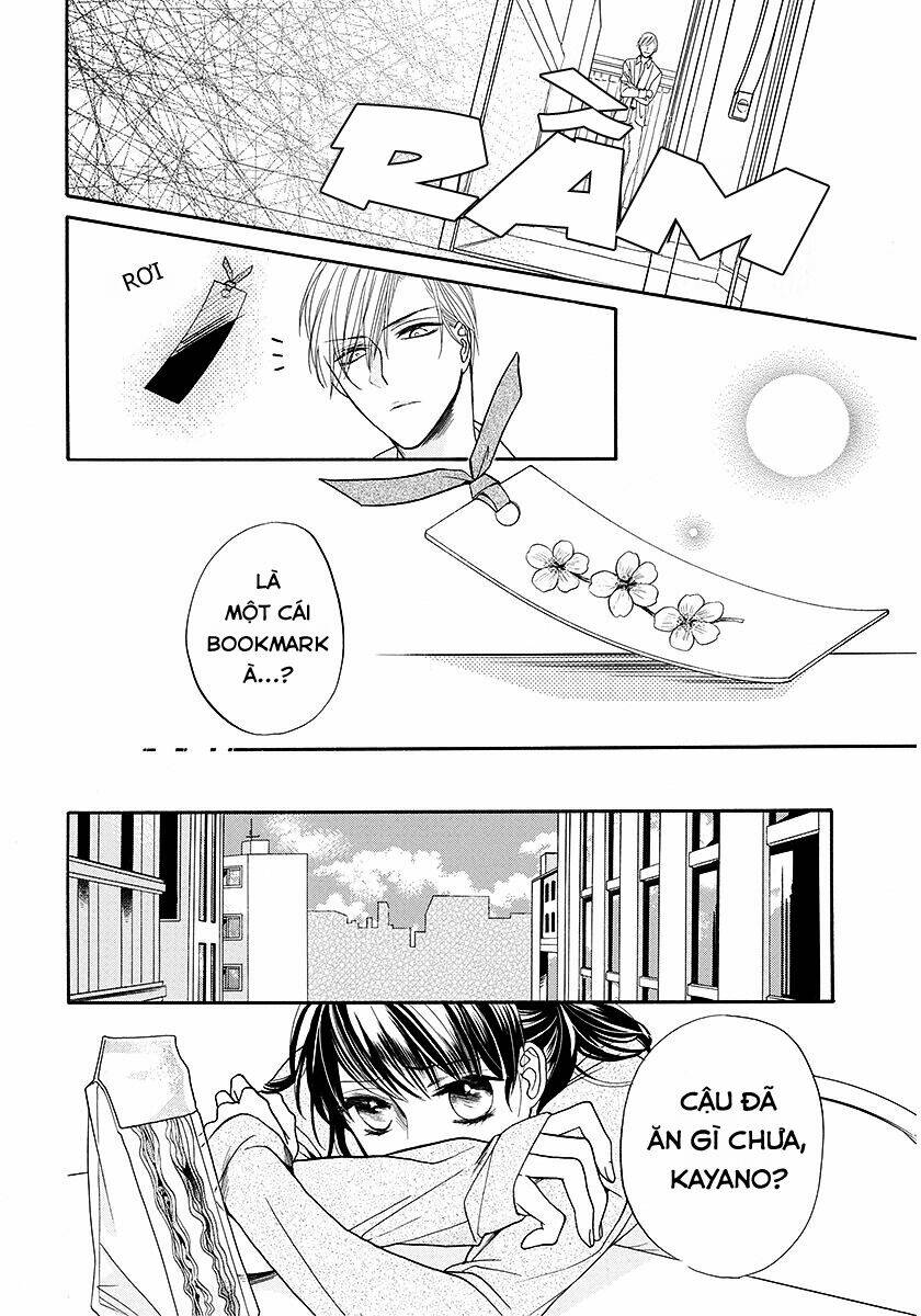 Dưới Bóng Cây Anh Đào - Chapter 1 - Page 13