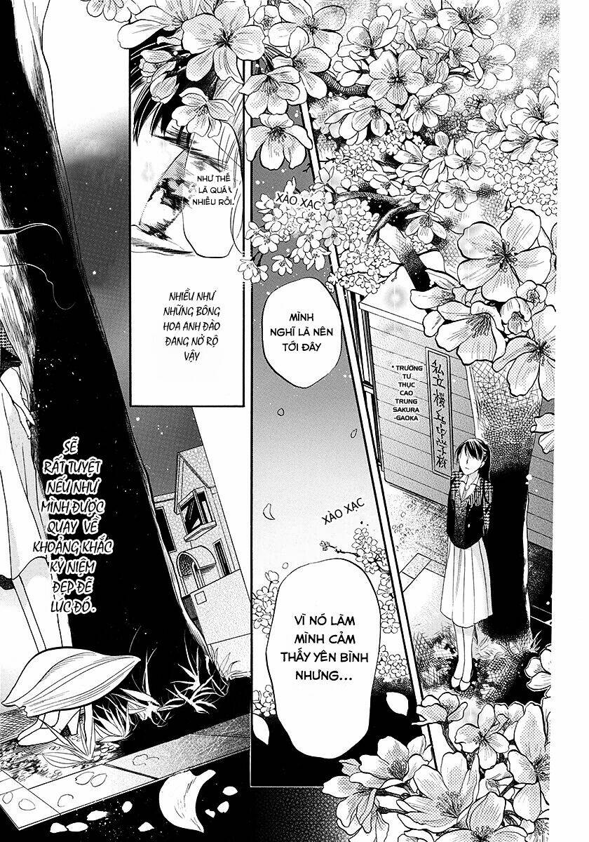 Dưới Bóng Cây Anh Đào - Chapter 1 - Page 29