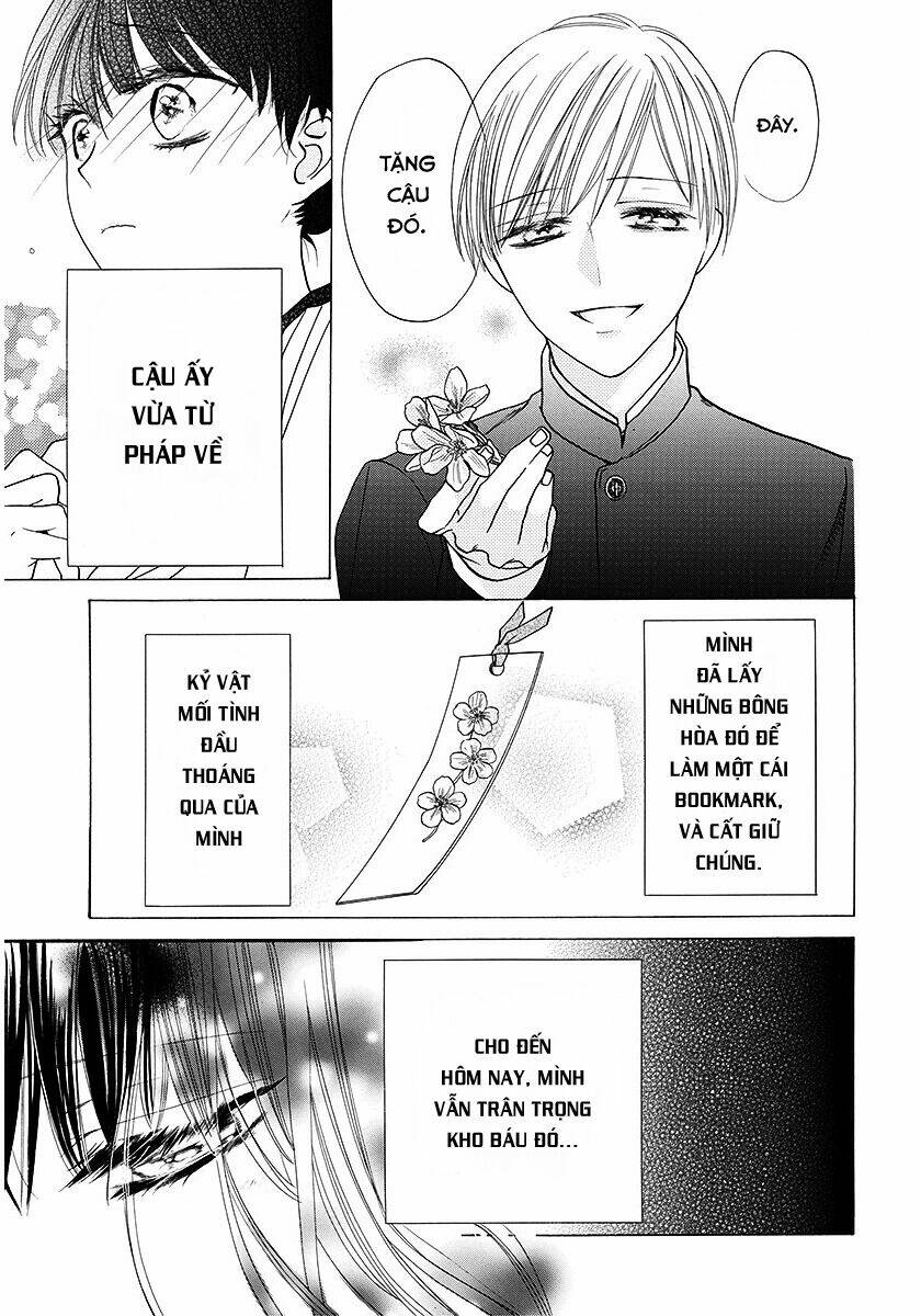 Dưới Bóng Cây Anh Đào - Chapter 1 - Page 6