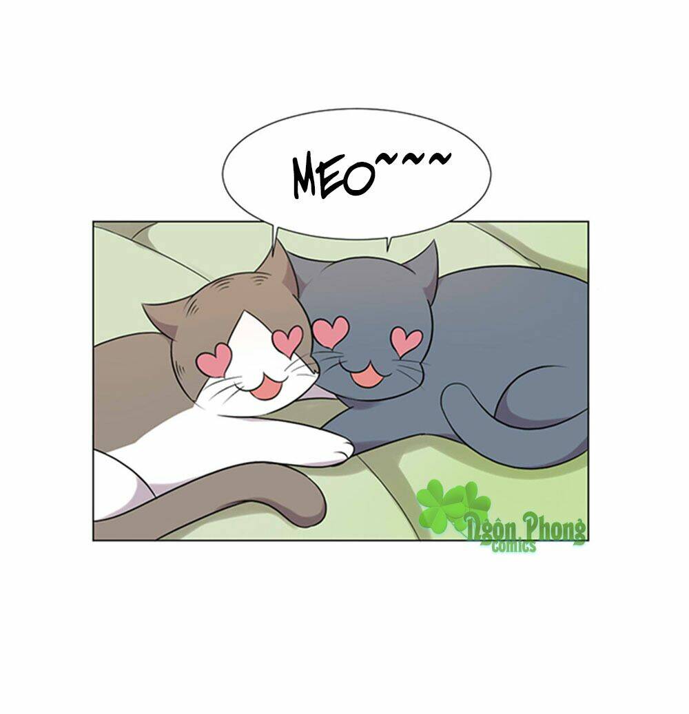 Hai Chú Mèo ToTem - Chapter 39 - Page 17
