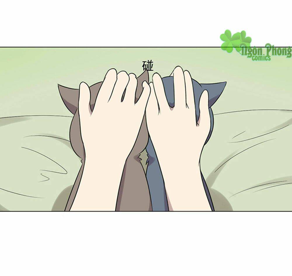 Hai Chú Mèo ToTem - Chapter 39 - Page 20