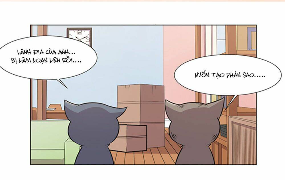 Hai Chú Mèo ToTem - Chapter 39 - Page 42