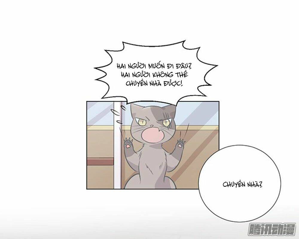 Hai Chú Mèo ToTem - Chapter 39 - Page 43