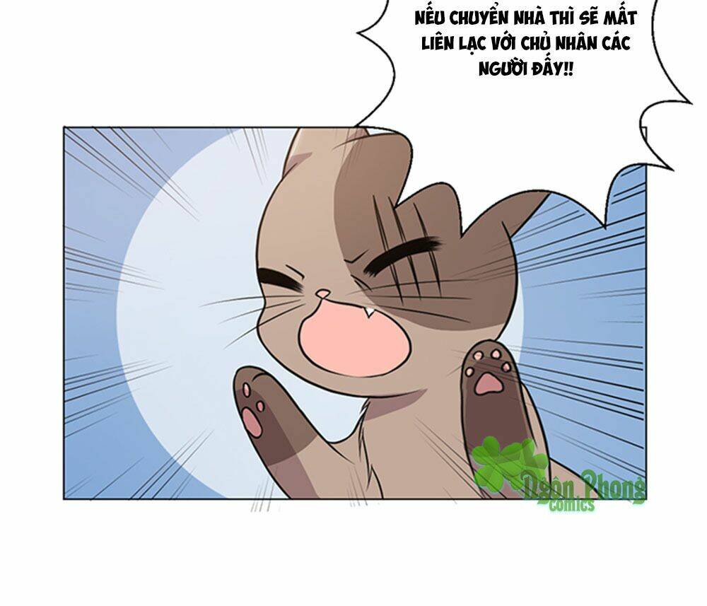 Hai Chú Mèo ToTem - Chapter 39 - Page 45