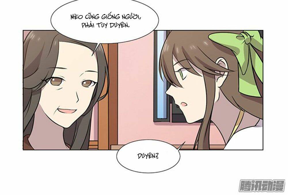 Hai Chú Mèo ToTem - Chapter 39 - Page 49