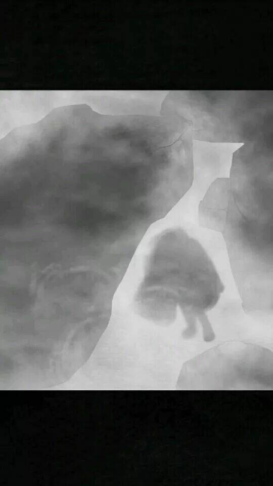 Trấn Thái Bình - Chapter 21 - Page 74