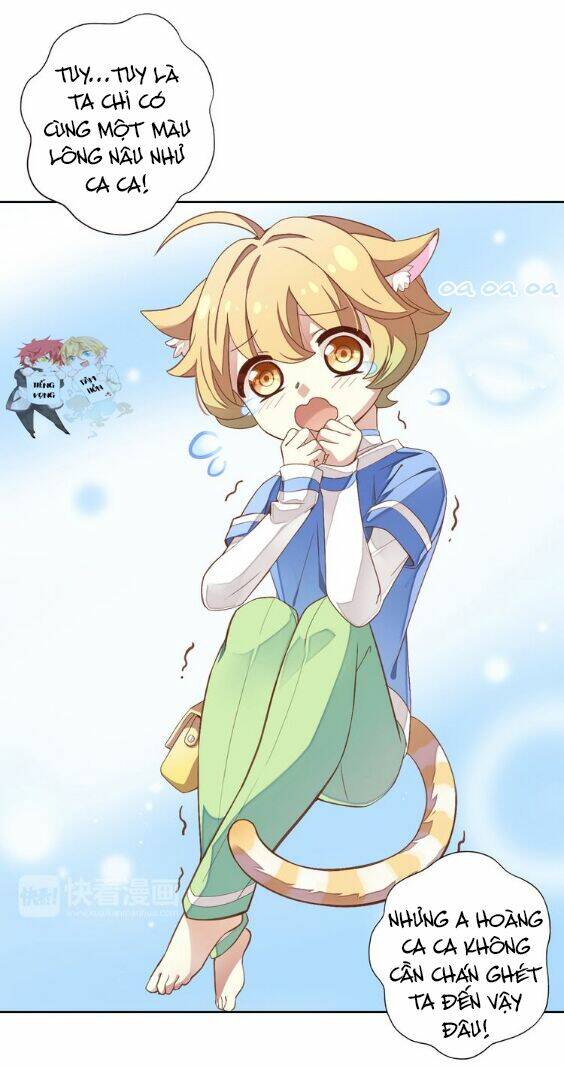 Miêu Trảo Chi Hạ - Chapter 1 - Page 10