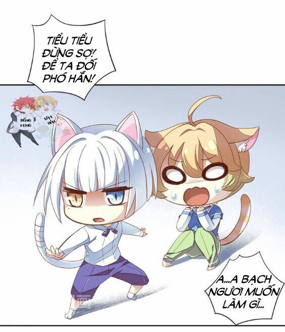 Miêu Trảo Chi Hạ - Chapter 1 - Page 12