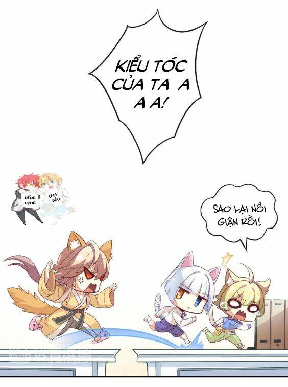 Miêu Trảo Chi Hạ - Chapter 1 - Page 19