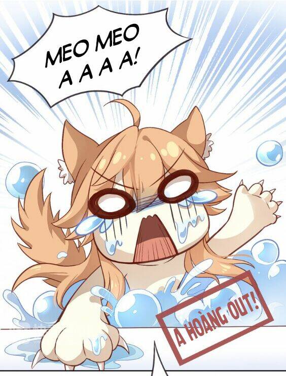 Miêu Trảo Chi Hạ - Chapter 1 - Page 26