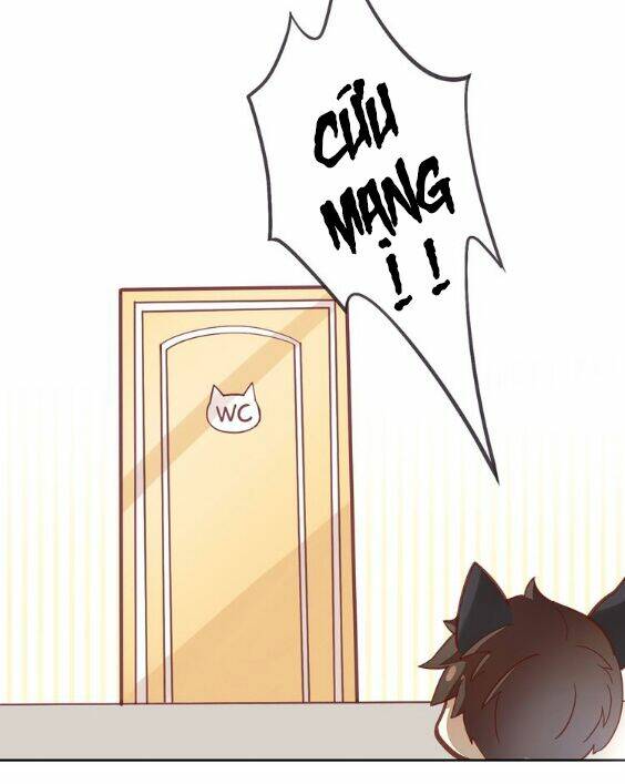 Miêu Trảo Chi Hạ - Chapter 1 - Page 27