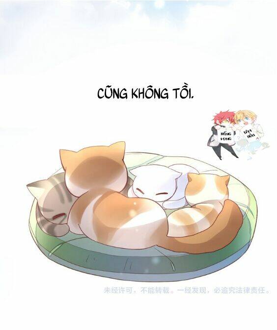 Miêu Trảo Chi Hạ - Chapter 1 - Page 48