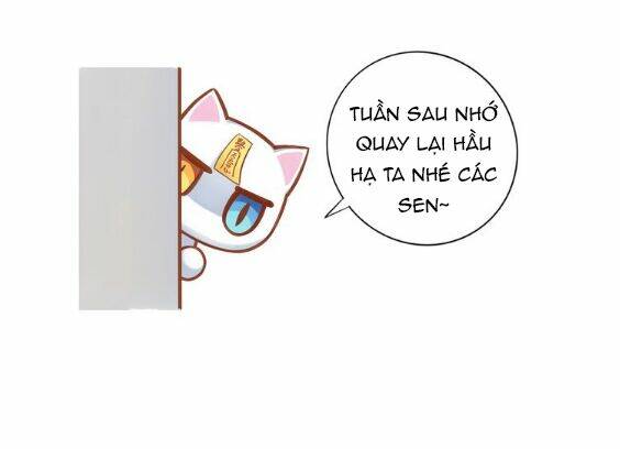 Miêu Trảo Chi Hạ - Chapter 1 - Page 49