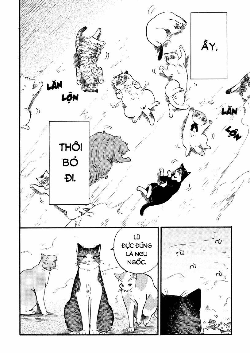 Tui Là Busamen! - Chapter 8 - Page 11