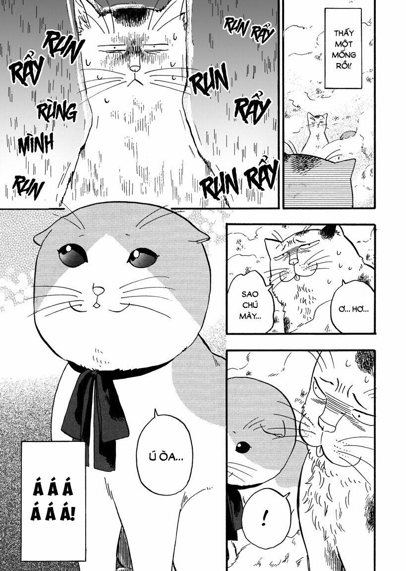 Tui Là Busamen! - Chapter 8 - Page 4