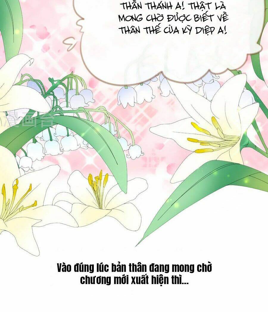Thuần Tình Tổng Tài Sủng Kiều Thê - Chapter 3 - Page 3