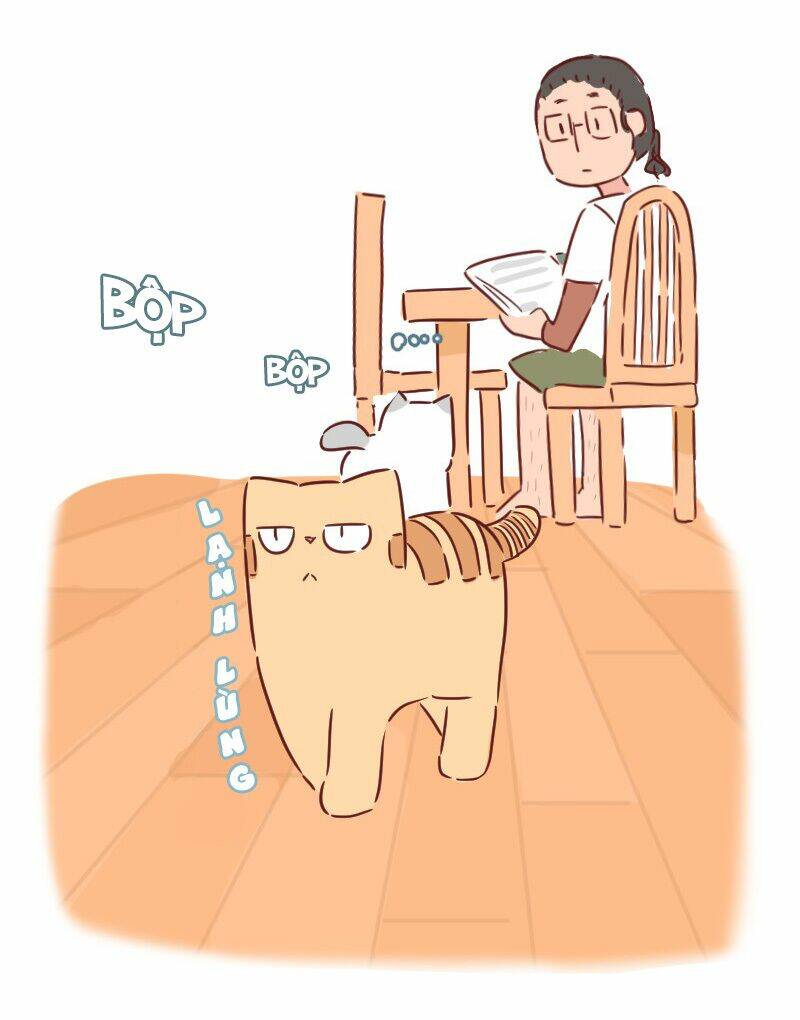 Saphie: Chú mèo một mắt - Chapter 30 - Page 4