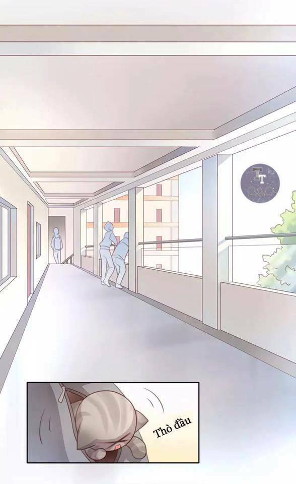 Dưới Móng Vuốt Mèo - Chapter 21 - Page 20