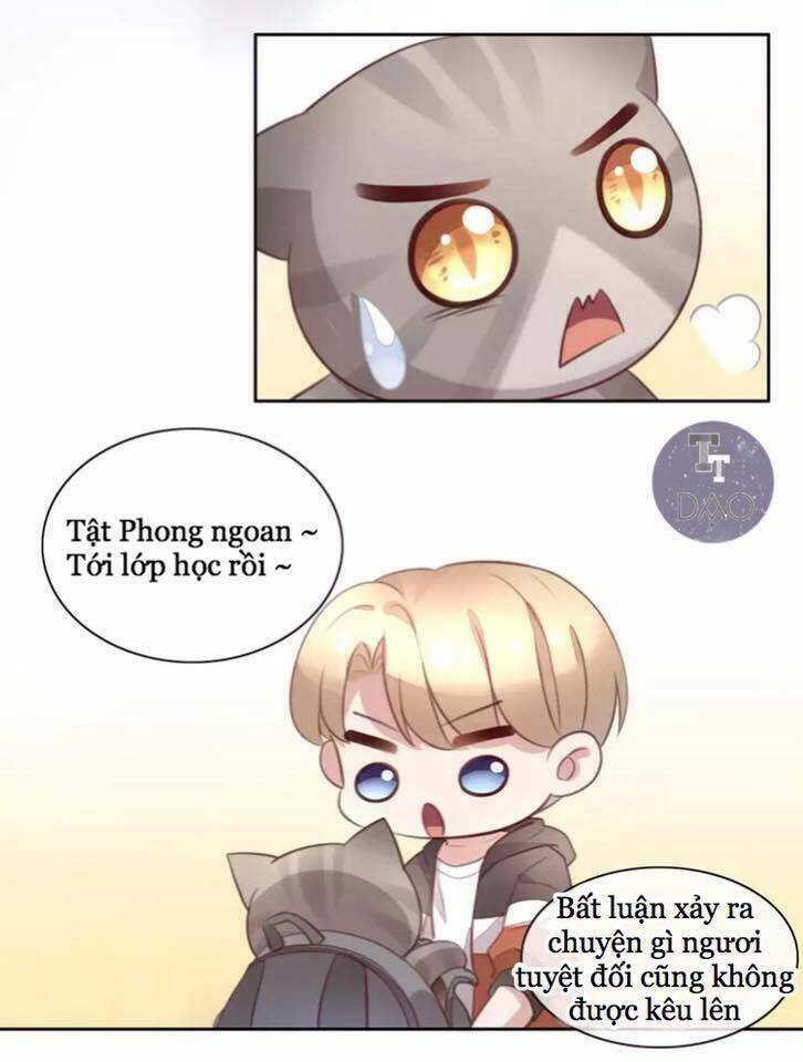 Dưới Móng Vuốt Mèo - Chapter 21 - Page 21