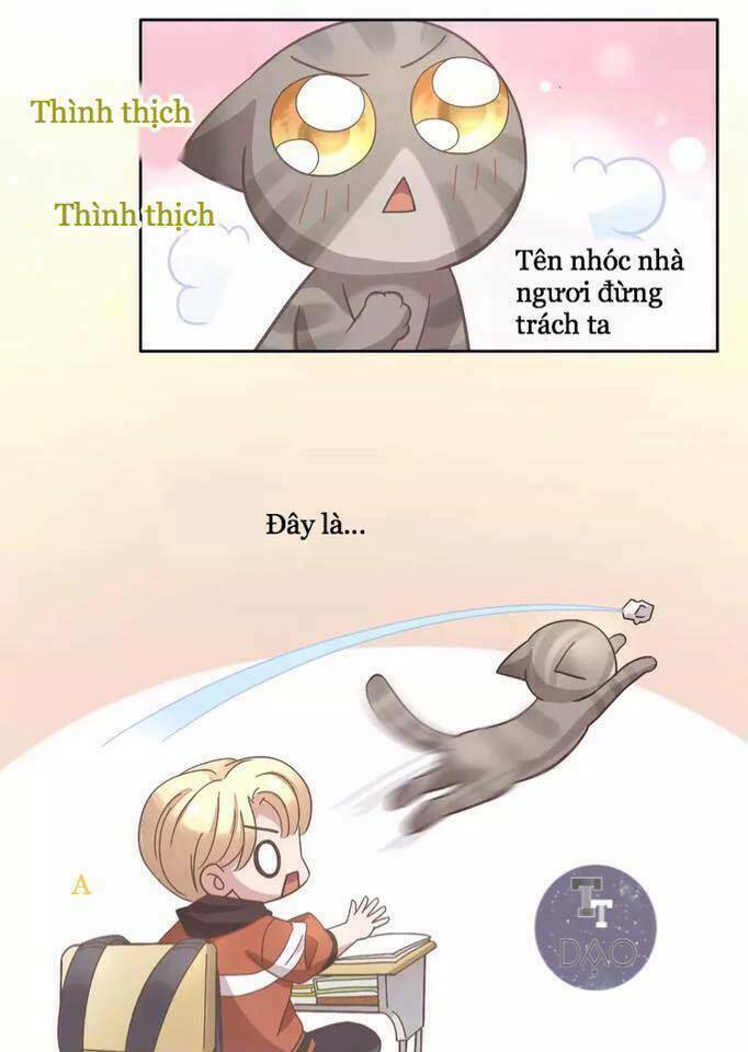 Dưới Móng Vuốt Mèo - Chapter 21 - Page 37