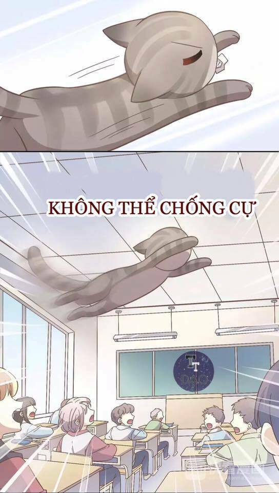 Dưới Móng Vuốt Mèo - Chapter 21 - Page 38