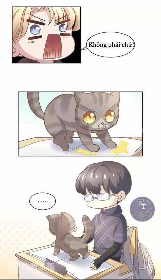 Dưới Móng Vuốt Mèo - Chapter 21 - Page 39
