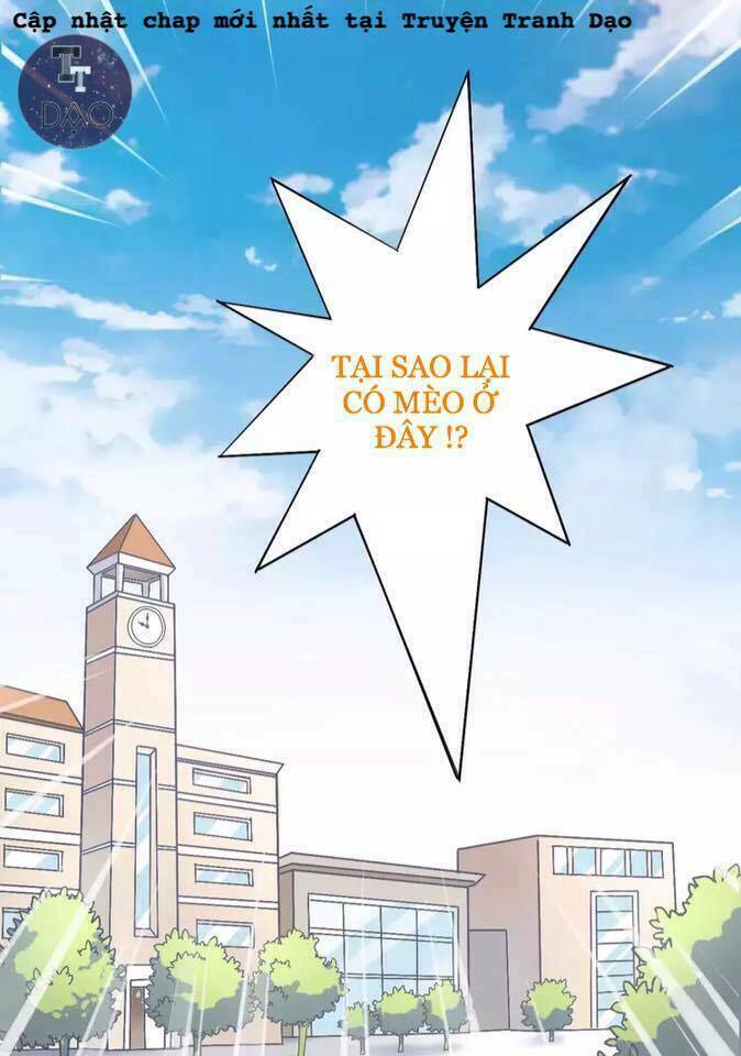 Dưới Móng Vuốt Mèo - Chapter 21 - Page 40