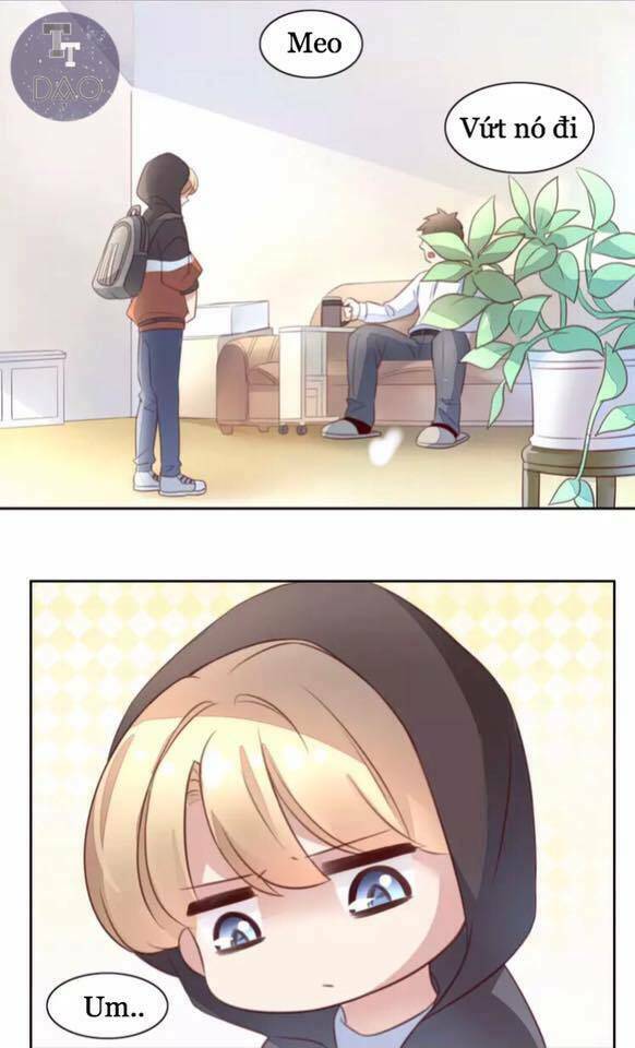 Dưới Móng Vuốt Mèo - Chapter 21 - Page 5